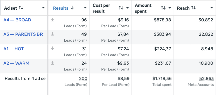 Lead volume and CPL from the Austin paid social campaign